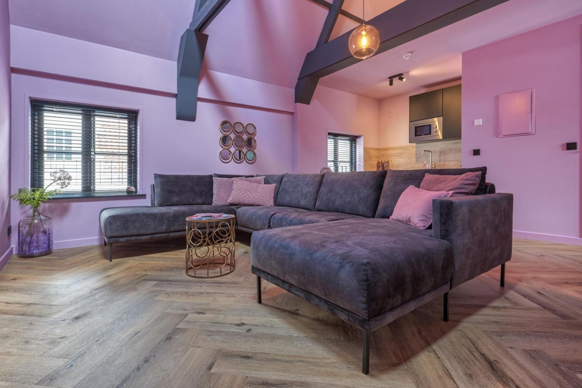 The Roosevelt Apartments ミデルブルグ 部屋 写真